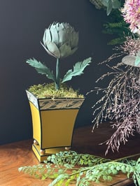 Image 1 of Artichaut dans son cache pot 