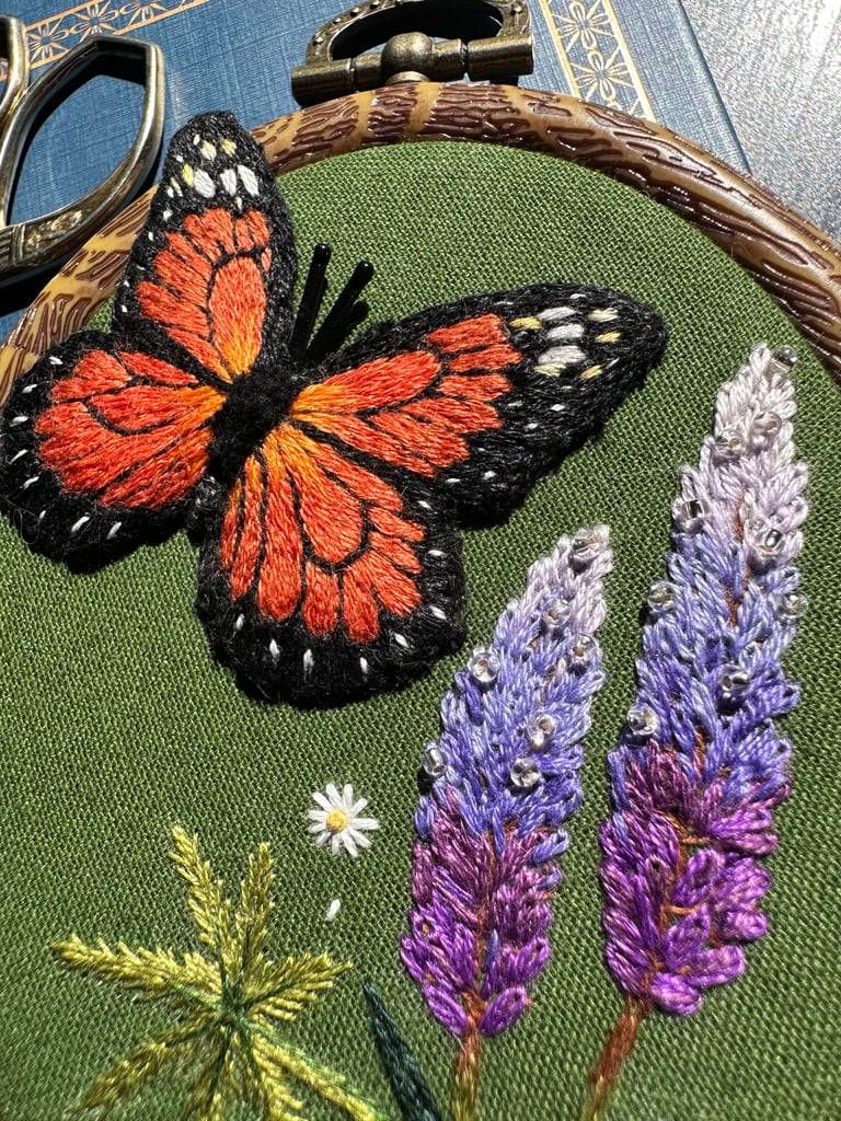Monarch Beauty Image 3