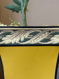 Image 2 of Artichaut dans son cache pot 