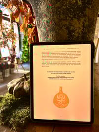 Image 4 of ALQUIMIA EMOCIONAL LIBRO 