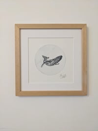 "La majestueuse" encadrée