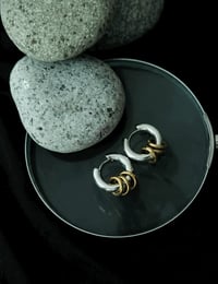 Image 2 of HMO Whispers