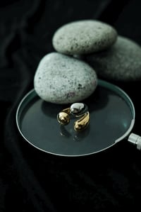 Image 1 of HMO Claws