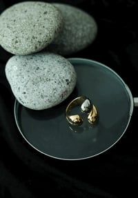 Image 2 of HMO Claws