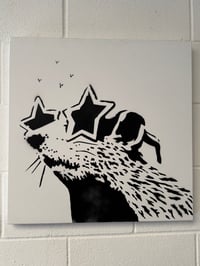 Stars in their eyes Rat