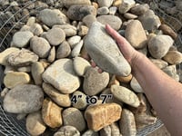 Image 1 of Medium River Rock (4–7”)