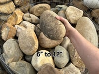 Image 1 of Large River Rock (6–12”)