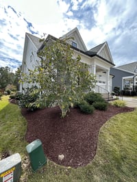 Image 2 of Dyed Brown Mulch