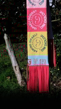 Image 5 of Multicolour printed Palestine scarf