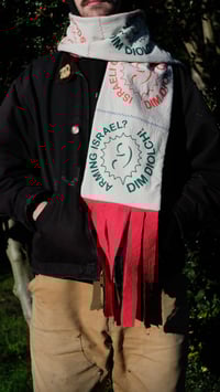 Image 4 of Multicolour printed Palestine scarf