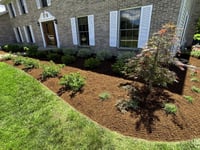 Image 2 of Triple Ground Mulch