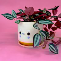 Image 1 of Pot-pote 3