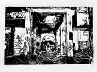 Ruins - Detroit Michigan skull  graff