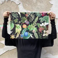 Image 2 of ¿Hace ruido el bosque al caer si yo solo estoy para escuchar a uno de los árboles que cae?