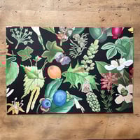 Image 1 of ¿Hace ruido el bosque al caer si yo solo estoy para escuchar a uno de los árboles que cae?