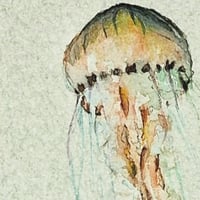 Image 2 of Jelly 1 - ORIGINAL