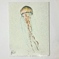 Image 1 of Jelly 1 - ORIGINAL