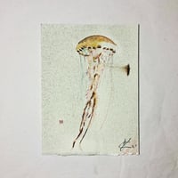 Image 1 of Jelly 2 - ORIGINAL 