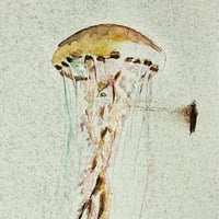 Image 2 of Jelly 2 - ORIGINAL 