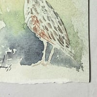 Image 3 of Corn crake 1