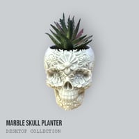Image 2 of Mini Marble Skull Planter