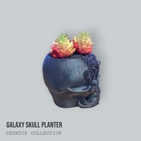 Image 5 of Mini Marble Skull Planter