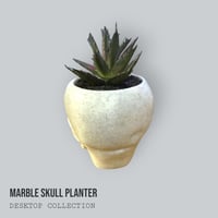 Image 6 of Mini Marble Skull Planter