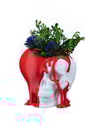 Image 3 of Dripping Skull Planter – Gothic Halloween Home Decor