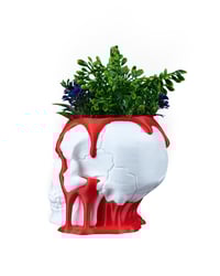 Image 4 of Dripping Skull Planter – Gothic Halloween Home Decor