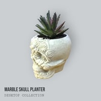 Image 8 of Mini Marble Skull Planter