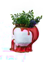 Image 5 of Dripping Skull Planter – Gothic Halloween Home Decor