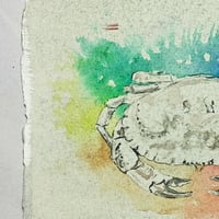 Image 2 of Crab Colour 1