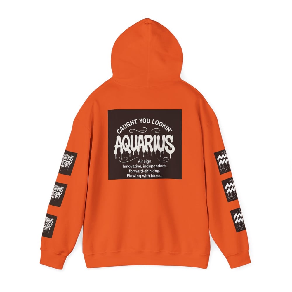 Image of Unisex Aquarius Zodiac Hoodie — All Eyes On Aquarius Graphic Sweatshirt