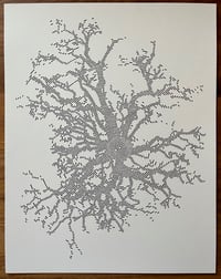 Image 1 of Radial Oak – penplot