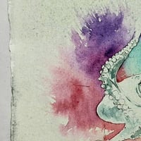 Image 2 of Octopus Colour 1