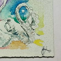 Image 3 of Octopus Colour 1