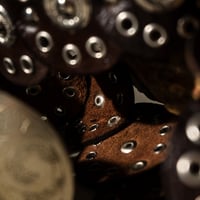 Image 4 of DAKOTA BELT