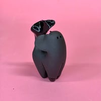 Image 1 of Hot-axolotl