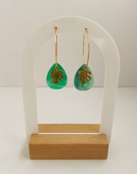 Image 1 of Miami Monstera 