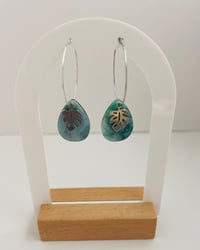 Image 3 of Miami Monstera 