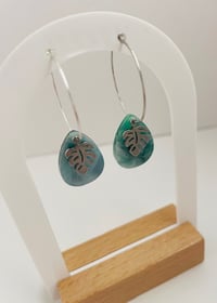 Image 4 of Miami Monstera 