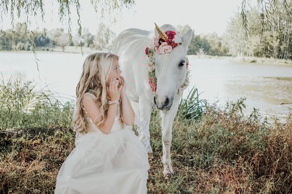 Image of 2026 Unicorn Minis!