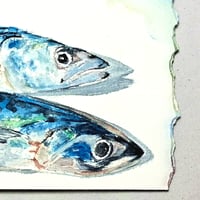 Image 2 of Mackerel 1