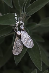 Image 2 of Ciondoli "Connessioni" con vera samara di acero argentata e ossidata, divisa in due