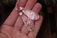 Image 3 of  Ciondoli "Connessioni" con vera samara di acero elettroformata divisa in due, finitura lucida 1