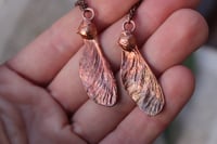 Image 2 of Ciondoli "Connessioni" con vera samara di acero elettroformata divisa in due, patina ossidata 4