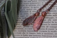 Image 3 of Ciondoli "Connessioni" con vera samara di acero elettroformata divisa in due, patina ossidata 4