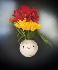 Image 7 of Mini Luna Fridge Magnet Vases