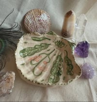 Image 1 of Coquillage en céramique_Nature🌟