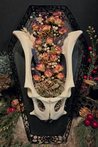 Image 1 of Coffin wall art